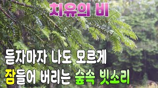 듣자마자 나도 모르게 잠들어 버리는 숲속 빗소리/ 불면증과 이명 치료를 위한 빗소리 백색소음