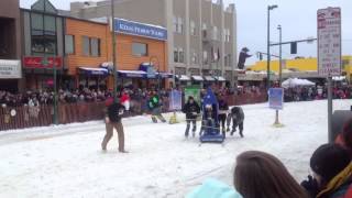 Cannabis Energy Drink in Fur Rondy 2013 Outhouse Race Anchorage AK