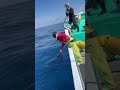 トンジギ　志摩沖　初海釣り　初トンジギ　初当たり　 釣り fishing トンジギ