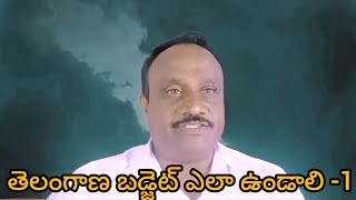 తెలంగాణ బడ్జెట్ ఎలా ఉండాలంటే - 1 How to be Telangana Budget - 1