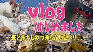 vlogはじめました。～春とあたしのつまらない独り言～#vlog#春#桜#猫