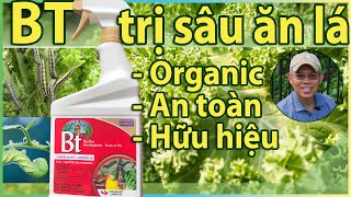 Diệt SÂU ĂN LÁ = BT: Organic, an toàn, hiệu quả.