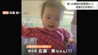 「ようやくスタートラインに」心臓移植待つ佐藤葵ちゃん3月末渡米へ