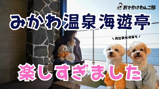 【愛知】犬と泊まれる「みかわ温泉 海遊亭」がドッグフレンドリーにリニューアル！客室露天風呂や一緒に食事を楽しもう♪ペット可の周辺観光情報も #PR