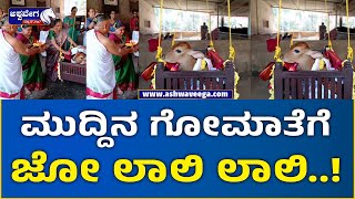 Viral Video || ಮುದ್ದಿನ ಗೋಮಾತೆಗೆ ಜೋ ಲಾಲಿ ಲಾಲಿ || @ashwaveeganews24x7