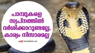 പാമ്പുകളെ സ്വപ്നത്തിൽ ദർശിക്കാറുണ്ടല്ലേ,കാര്യം നിസാരമല്ല