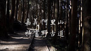 不然去走走  |  001「嘉義 阿里山 特富野古道」