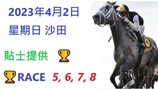 🏆「賽馬貼士」🐴2023年 4 月 2 日💰 星期日  😁 沙田 香港賽馬貼士💪 HONG KONG HORSE RACING TIPS🏆 RACE  5   6  7   8   😁