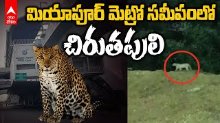 Leopard at Miyapur Metro Station | మియాపూర్ మెట్రోస్టేషన్ సమీపంలో చిరుత సంచారం | ABP Desam