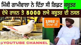 ਮਿੱਕੀ ਗਾਮੀਵਾਲਾ ਨੇ 5000 ਦਾ ਮੁੱਲ ਲਿਆ ਸੀ ਰਾਜਨ ਤੋ ਉਸ ਕਬੂਤਰ ਉਸਦੀ ਬਲੱਡ ਲਾਈਨ ਚੋ ਗੇਫਟ।