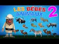 Foufou - Les Bébés Animaux (Learn Baby Animals for Kids) Serie 02 4K