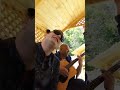 enes.. hajro gitara akustik ..da je srce dijamant