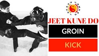Jeet Kune Do Technique - JKD Groin Kick