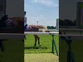 京都競馬場誘導馬！整列からの進め🐴