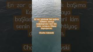 en zor günümde #kitap #edebiyat #felsefe #duygusal #charlesbukowski #video #instagram