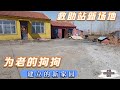 小迟救助站扩建场地，给岁数大的狗狗建设一个新家园，安度晚年     －Dog rescue in China -20210416