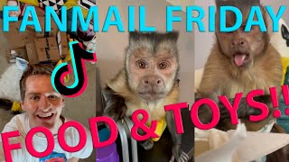 Georgie Boy Official - Fanmail Friday 6 😍🧸🐒  Extended Cut!