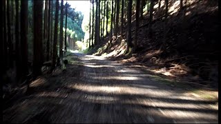 愛宕山(ウジウジ峠→雲心寺林道終点)@210919_1433