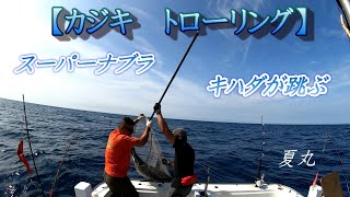 【カジキトローリング】キハダマグロのスーパーナブラでWヒット！！