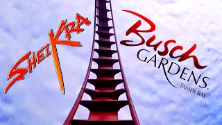 Sheikra at Busch Gardens Tampa Front Row POV~ B\u0026M Dive Coaster