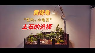 【龟龟小先生】黄缘龟的龟窝打造-土石的选择