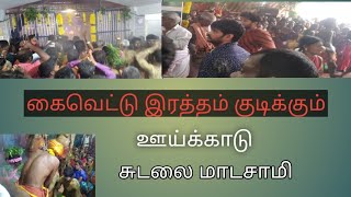 கணியான் கை இரத்தம் குடிக்கும் ஊய்காடு சுடலை மாடசாமி | சுடலை மாடசாமி கோவில் கொடை | KSA creation