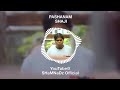 pashanam shaji background music bgm