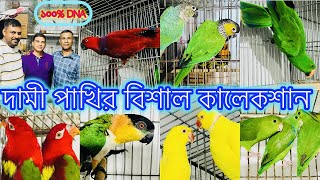 ১০০% DNA সহ হাই মিউটেশনের পাখি দিচ্ছে সুজন ভাই। Exotic Birs।দামী পাখিতে ভরপুর সুজন ভাইয়ের সেটআপ