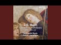Der Friede sei mit dir, BWV 158: Aria con Corale 