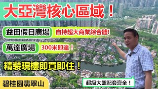 大亞灣萬達商圈 碧桂園翡翠山 樓下益田假日廣場 配套最強最全 精裝現房 即買即住 單價11000 惠陽高鐵站3公裡