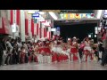 サニーグループよさこい踊り子隊 sunnys　第16回龍馬生誕祭　帯屋町筋会場　2011年11月15日