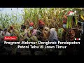 Pendapatan Petani Tebu di Jawa Timur Mencapai 80 Persen | Flash News