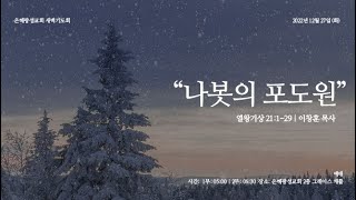 22.12.27 새벽기도회 |  나봇의 포도원