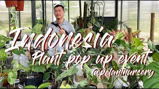 Indonesia Plant Pop-up Market - Find Out What Everyone's Selling!?