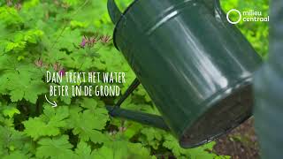 3 tips om je tuin slim water te geven