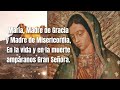 el santo rosario de hoy miercoles 25 de diciembre 2024 misterios gloriosos rosario de hoy