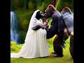 🦍 When Gorillas Get a Wedding Dress for Once 🙄 #nature #animals