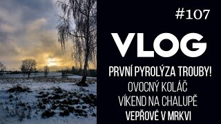 VLOG #107 | první pyrolýza, ovocný koláč, vepřové v mrkvi 🥕