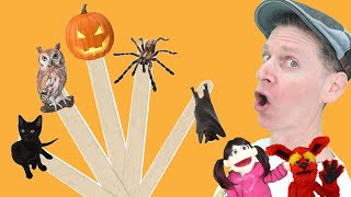 Halloween | Pop Sticks Song with Matt | Dream English Kids