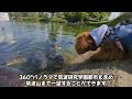 2023年4月23日 茨城県つくば市 松見公園【犬とお散歩mv】