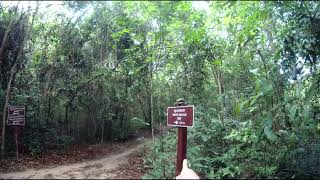 The road Siem​ Reap​ swing bridge (ស្ពានយោលសៀមរាប)