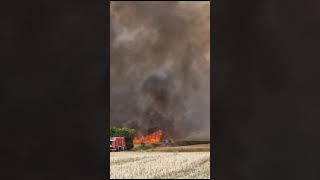 Ogromny pożar zboża w Lipiu w powiecie wrzesińskim (Wielkopolska)