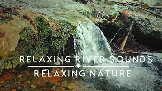 Forest Stream - Relaxing River Sounds - No Birds - Ultra HD Nature Video - Relax/ Sleep/ Study