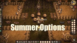 DST Tips: Summer Options