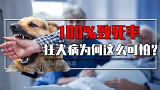 如果感染狂犬病，多少天会死？狂犬病为何是100%致死率？