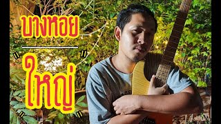 บางหอยใหญ่ cover guitar Dream 3D