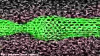 Nanotube Incisions