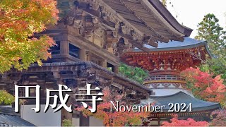 ［ 若き天才仏師 ］ 円成寺　Enjyouji Temple in Nara, Japan