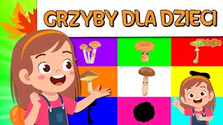 Grzyby - Filmy edukacyjne - Zagadki dla dzieci 🍂🍂🍂