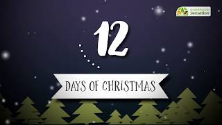 12 Days of Christmas - Day 1 Geopod